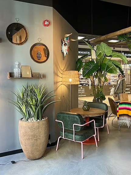 Bilde 4 av 5 i jobbannonse-galleriet