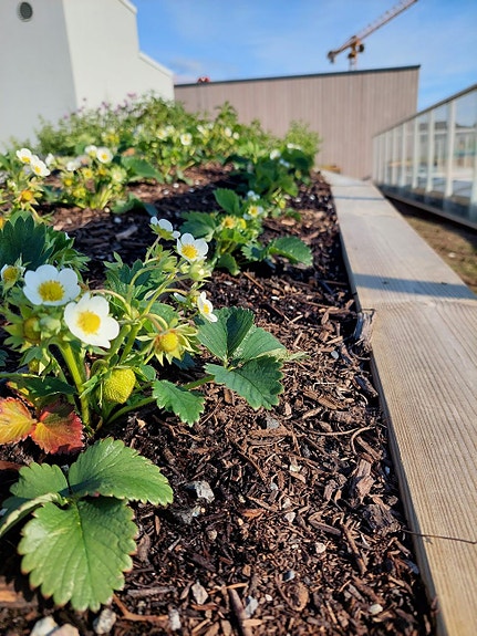 Bilde 4 av 7 i jobbannonse-galleriet