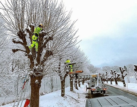 Bilde 6 av 7 i jobbannonse-galleriet