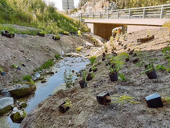 Bilde 2 av 7 i jobbannonse-galleriet