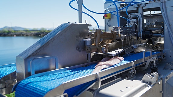 Bilde 4 av 4 i jobbannonse-galleriet