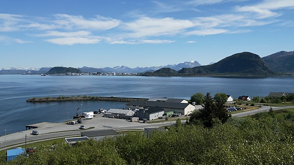 Bilde 1 av 4 i jobbannonse-galleriet