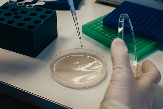 Bilde 1 av 3 i jobbannonse-galleriet