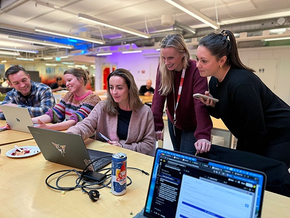 Bilde 5 av 10 i jobbannonse-galleriet