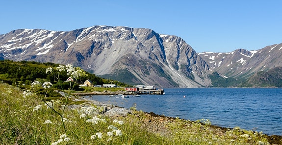 Bilde 2 av 2 i jobbannonse-galleriet