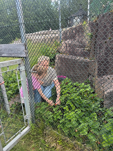 Bilde 7 av 7 i jobbannonse-galleriet