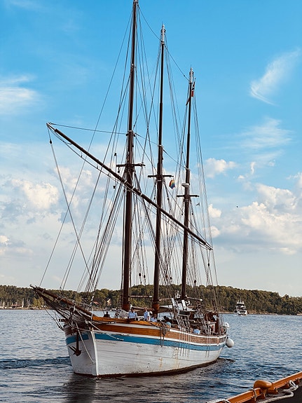 Bilde 4 av 7 i jobbannonse-galleriet