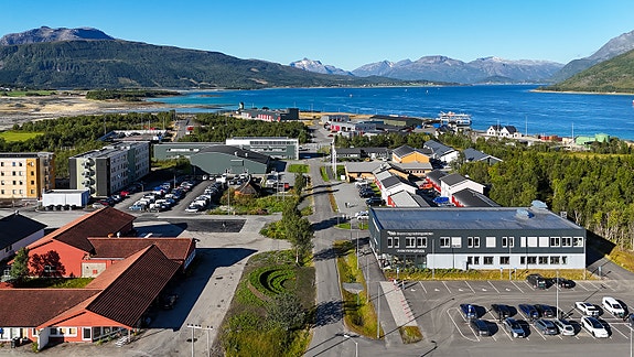 Oversiktsbilde over området