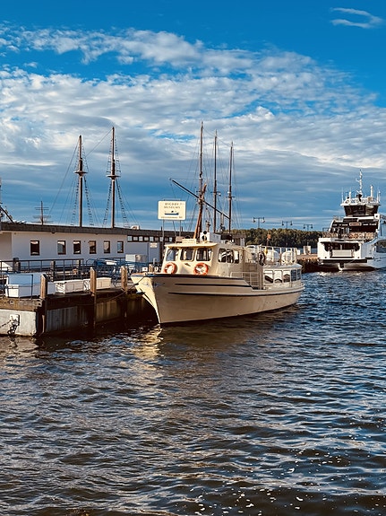 Bilde 2 av 8 i jobbannonse-galleriet