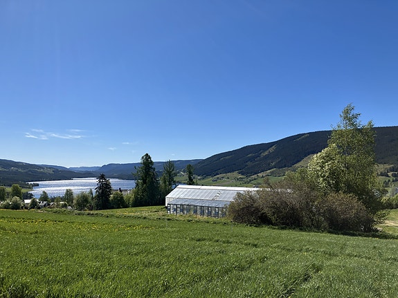 Bilde 2 av 2 i jobbannonse-galleriet