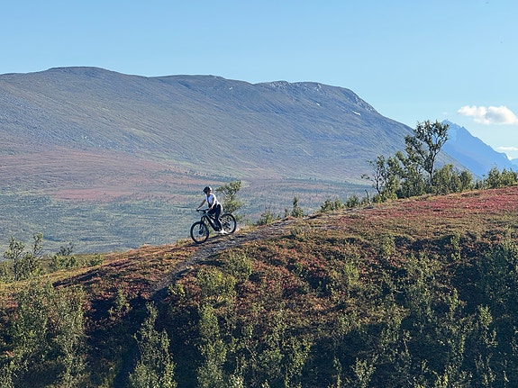 Bilde 2 av 10 i jobbannonse-galleriet
