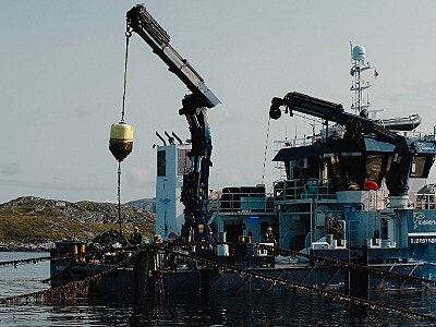 Bilde 3 av 5 i jobbannonse-galleriet