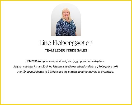 Bilde 3 av 6 i jobbannonse-galleriet