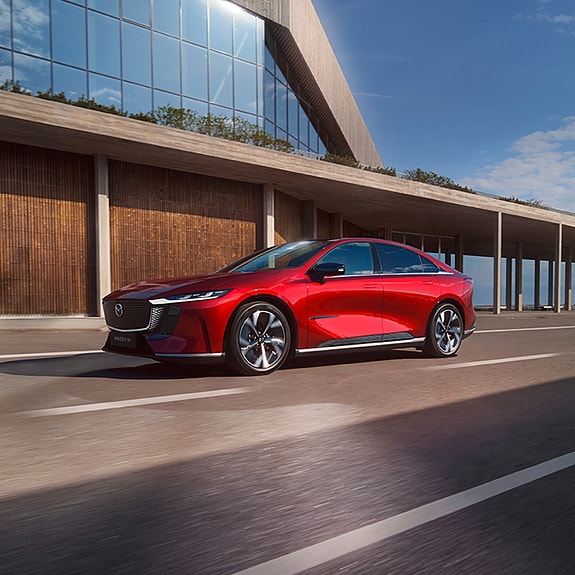 Bilde 4 av 5 i jobbannonse-galleriet