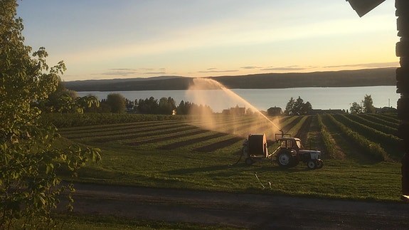 Bilde 3 av 3 i jobbannonse-galleriet