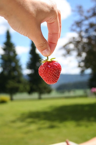 Bilde 2 av 3 i jobbannonse-galleriet