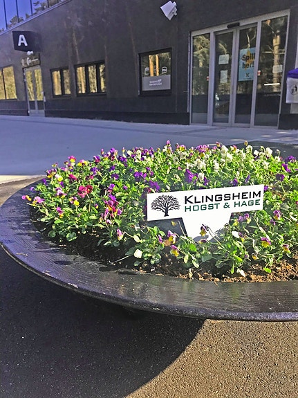 Bilde 5 av 9 i jobbannonse-galleriet