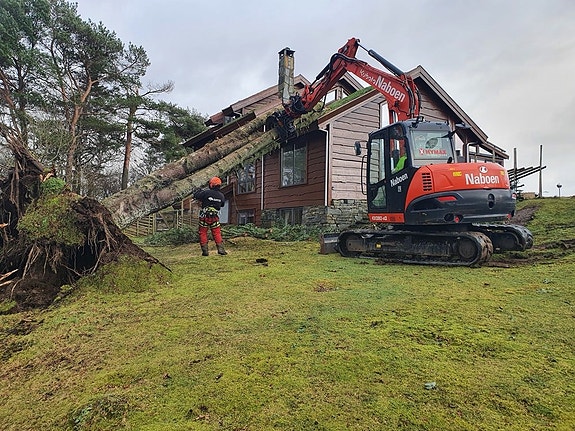 Bilde 8 av 9 i jobbannonse-galleriet