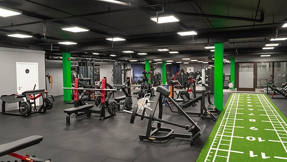 Bilde 3 av 6 i jobbannonse-galleriet