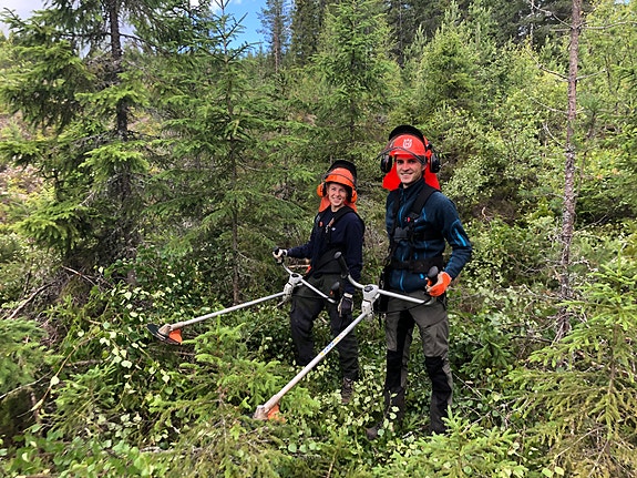 Bilde 3 av 6 i jobbannonse-galleriet