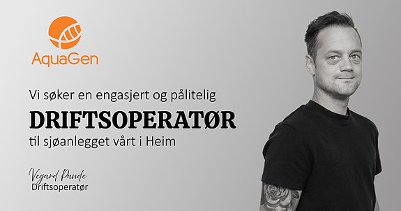 Bilde 1 av 1 i jobbannonse-galleriet