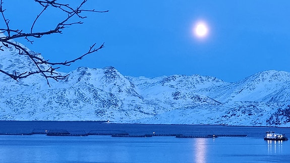 Bilde 1 av 1 i jobbannonse-galleriet