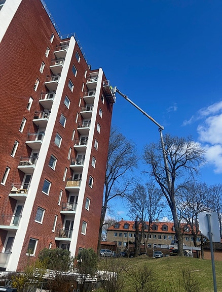 Skifte av vinduer i 10 etg.