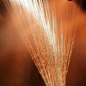 Bilde 3 av 3 i jobbannonse-galleriet