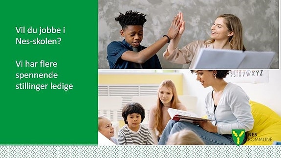 Bilde 1 av 1 i jobbannonse-galleriet