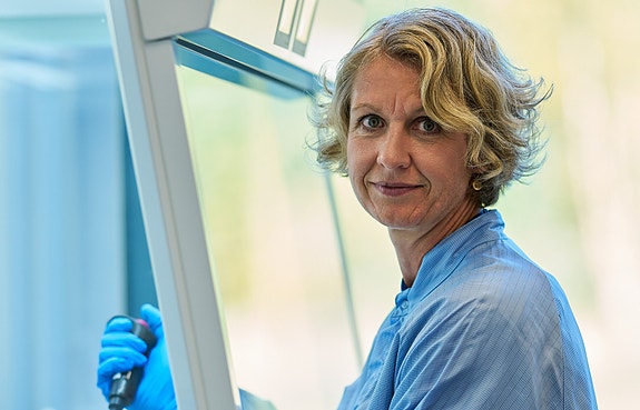 Bilde 3 av 4 i jobbannonse-galleriet