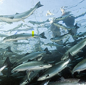 Bilde 4 av 4 i jobbannonse-galleriet