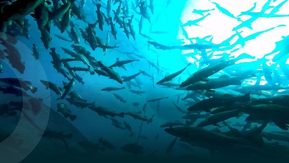 Bilde 2 av 2 i jobbannonse-galleriet