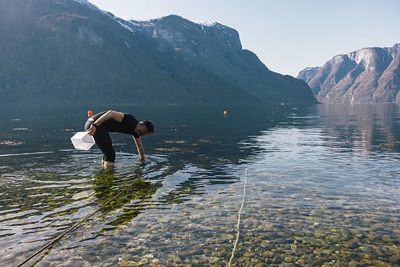 Kest- Food concept - Aurlandsfjord
