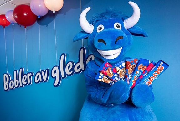 Bilde 2 av 3 i jobbannonse-galleriet