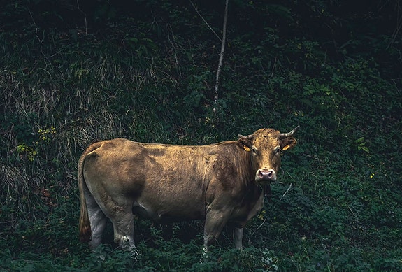 Bilde 2 av 3 i jobbannonse-galleriet