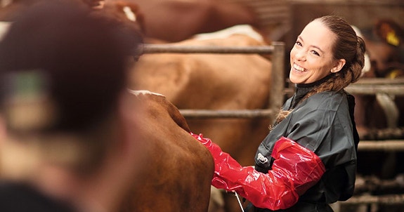 Bilde 1 av 1 i jobbannonse-galleriet