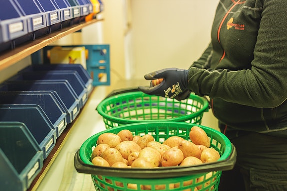 Bilde 2 av 6 i jobbannonse-galleriet