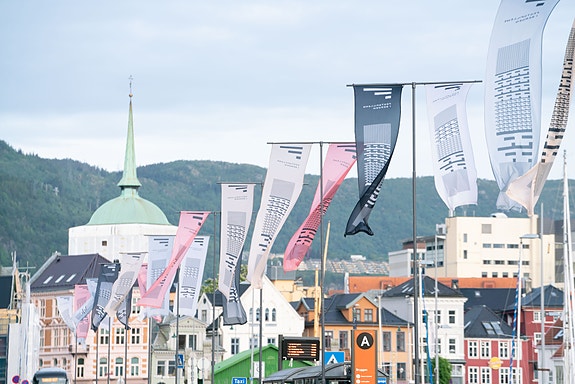 Bilde 4 av 5 i jobbannonse-galleriet