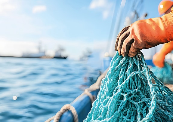 Bilde 1 av 2 i jobbannonse-galleriet