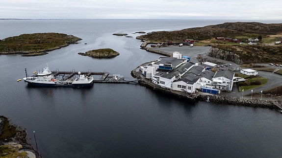 Bilde 2 av 4 i jobbannonse-galleriet