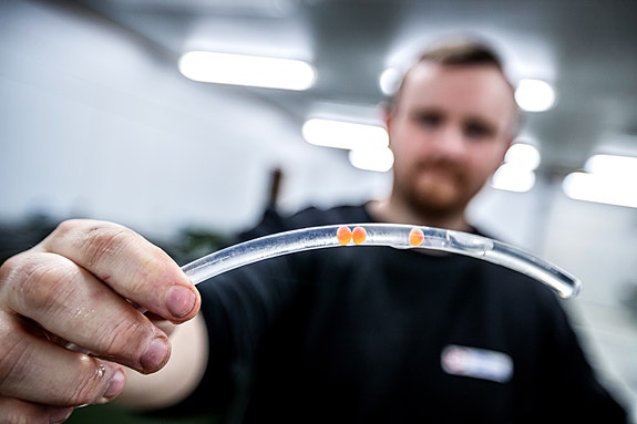 Bilde 4 av 4 i jobbannonse-galleriet