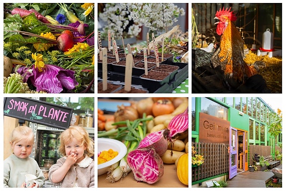 Bilde 1 av 1 i jobbannonse-galleriet