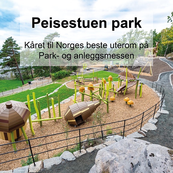 Bilde 10 av 10 i jobbannonse-galleriet