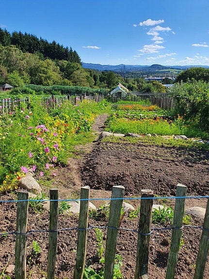 Nydelige omgivelser på Ullandhaug økologiske gård