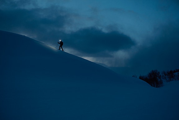 Bilde 1 av 2 i jobbannonse-galleriet