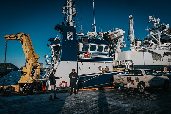 Bilde 3 av 7 i jobbannonse-galleriet