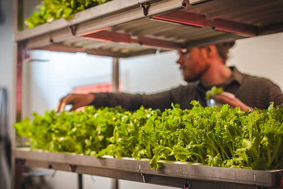 Bilde 5 av 7 i jobbannonse-galleriet