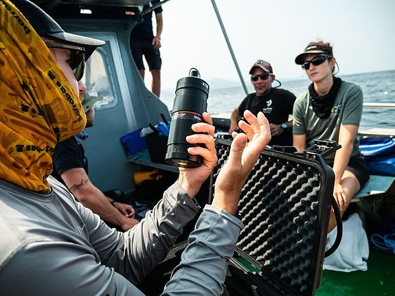 Bilde 1 av 3 i jobbannonse-galleriet