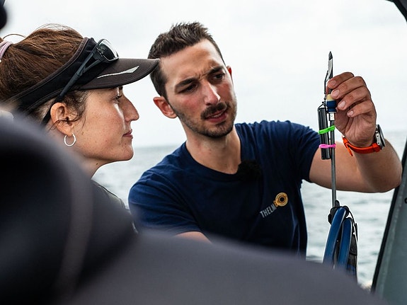 Bilde 2 av 3 i jobbannonse-galleriet