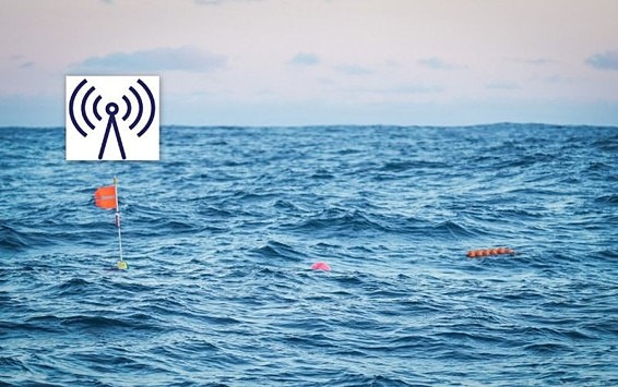 Bilde 3 av 5 i jobbannonse-galleriet